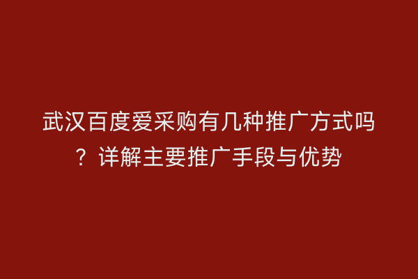 武汉百度爱采购有几种推广方式吗？详解主要推广手段与优势