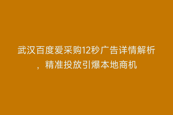 武汉百度爱采购12秒广告详情解析，精准投放引爆本地商机