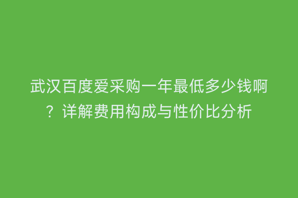 武汉百度爱采购一年最低多少钱啊？详解费用构成与性价比分析