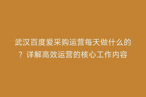 武汉百度爱采购运营每天做什么的？详解高效运营的核心工作内容
