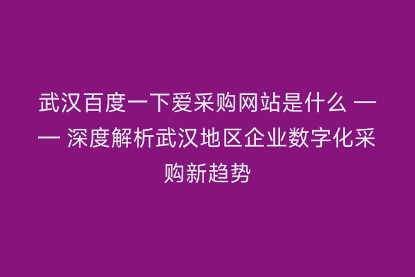 武汉百度一下爱采购网站是什么 —— 深度解析武汉地区企业数字化采购新趋势