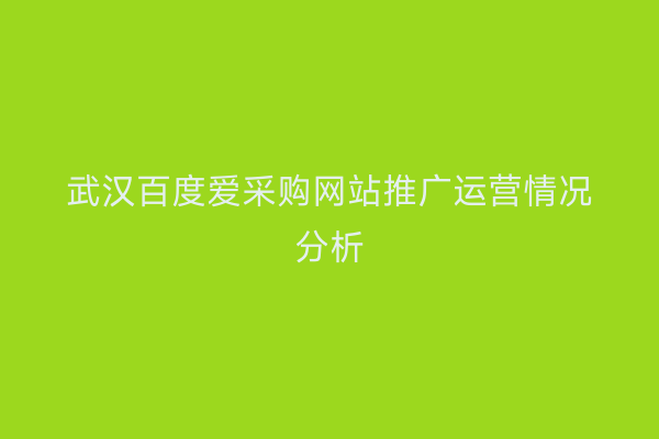 武汉百度爱采购网站推广运营情况分析