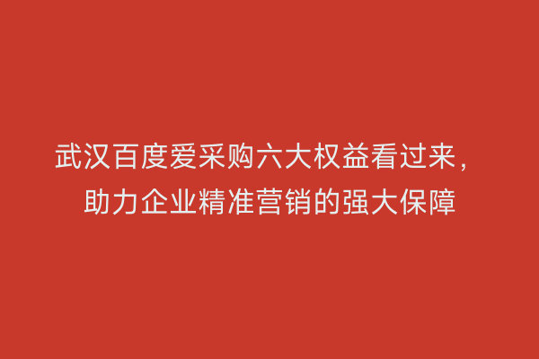 武汉百度爱采购六大权益看过来，助力企业精准营销的强大保障