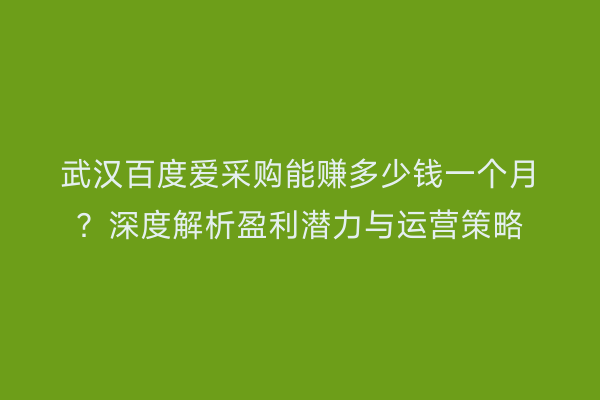 武汉百度爱采购能赚多少钱一个月?深度解析盈利潜力与运营策略
