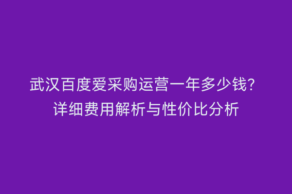 武汉百度爱采购运营一年多少钱？详细费用解析与性价比分析