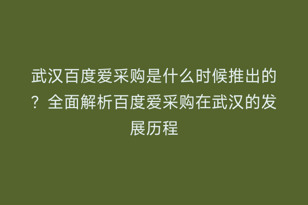 武汉百度爱采购是什么时候推出的？全面解析百度爱采购在武汉的发展历程