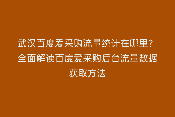 武汉百度爱采购流量统计在哪里？全面解读百度爱采购后台流量数据获取方法