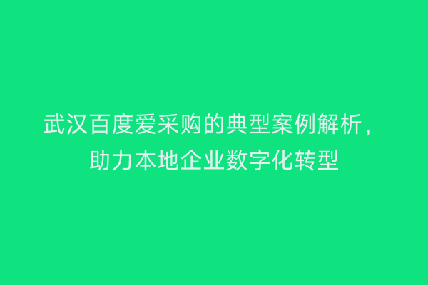 武汉百度爱采购的典型案例解析,助力本地企业数字化转型