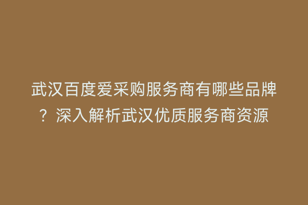 武汉百度爱采购服务商有哪些品牌？深入解析武汉优质服务商资源