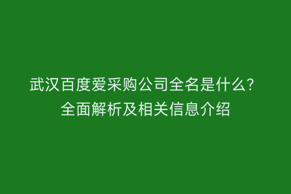 武汉百度爱采购公司全名是什么？全面解析及相关信息介绍