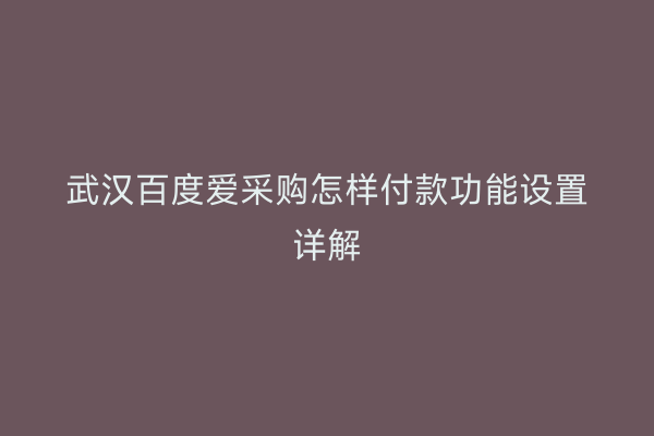 武汉百度爱采购怎样付款功能设置详解