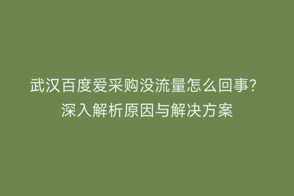 武汉百度爱采购没流量怎么回事？深入解析原因与解决方案