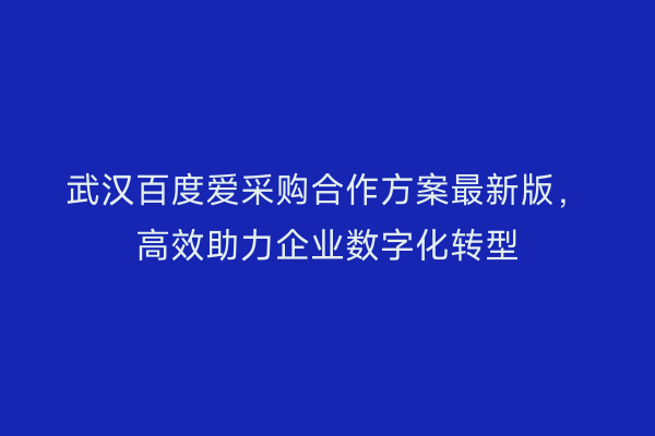 武汉百度爱采购合作方案最新版，高效助力企业数字化转型