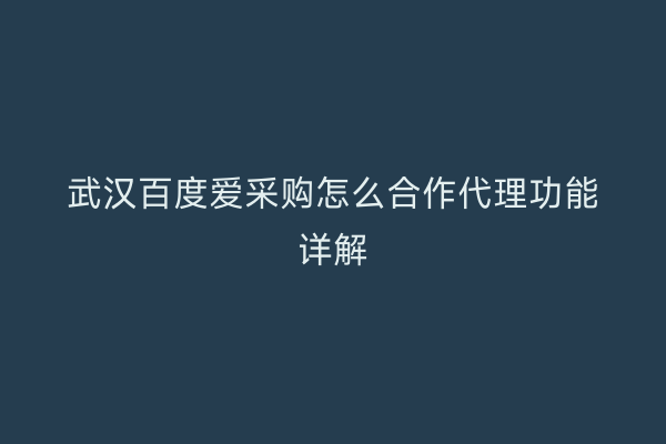 武汉百度爱采购怎么合作代理功能详解