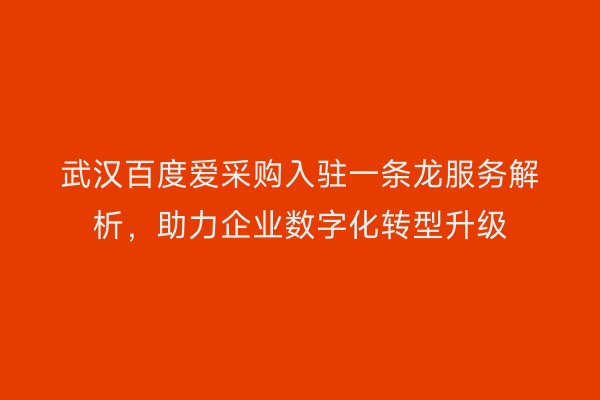 武汉百度爱采购入驻一条龙服务解析，助力企业数字化转型升级