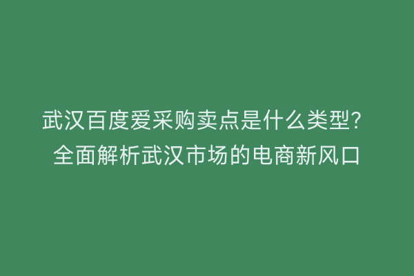 武汉百度爱采购卖点是什么类型？全面解析武汉市场的电商新风口