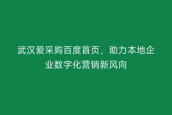 武汉爱采购百度首页，助力本地企业数字化营销新风向