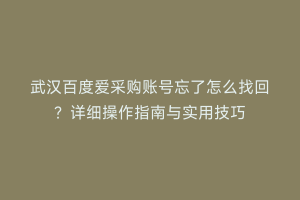 武汉百度爱采购账号忘了怎么找回？详细操作指南与实用技巧