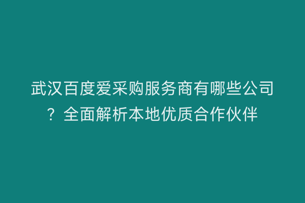 武汉百度爱采购服务商有哪些公司？全面解析本地优质合作伙伴