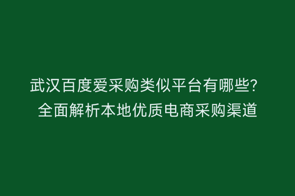 武汉百度爱采购类似平台有哪些？全面解析本地优质电商采购渠道