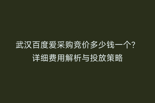 武汉百度爱采购竞价多少钱一个？详细费用解析与投放策略