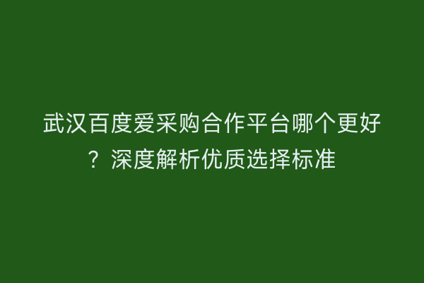 武汉百度爱采购合作平台哪个更好？深度解析优质选择标准