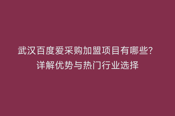 武汉百度爱采购加盟项目有哪些？详解优势与热门行业选择