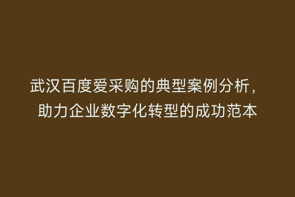 武汉百度爱采购的典型案例分析,助力企业数字化转型的成功范本
