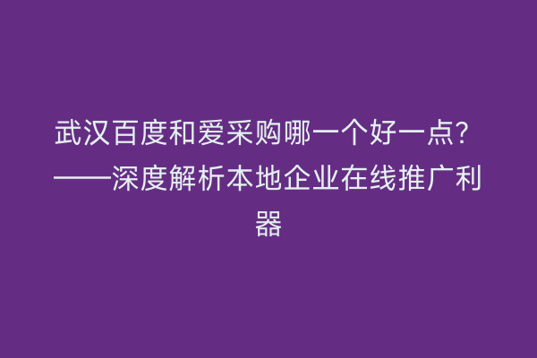 武汉百度和爱采购哪一个好一点？——深度解析本地企业在线推广利器