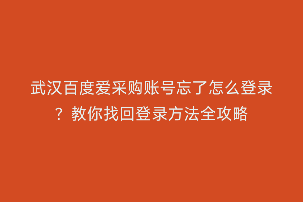 武汉百度爱采购账号忘了怎么登录？教你找回登录方法全攻略