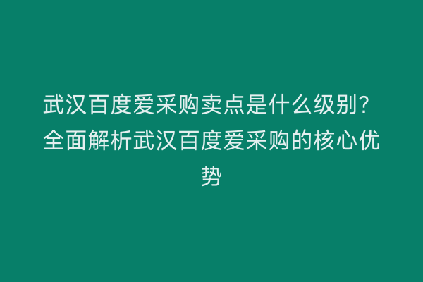 武汉百度爱采购卖点是什么级别？全面解析武汉百度爱采购的核心优势