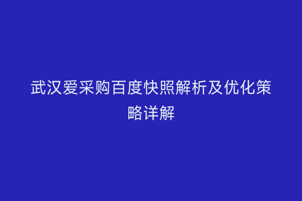 武汉爱采购百度快照解析及优化策略详解