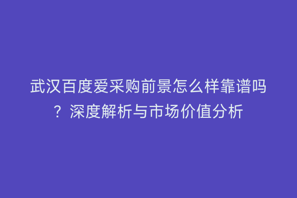 武汉百度爱采购前景怎么样靠谱吗？深度解析与市场价值分析
