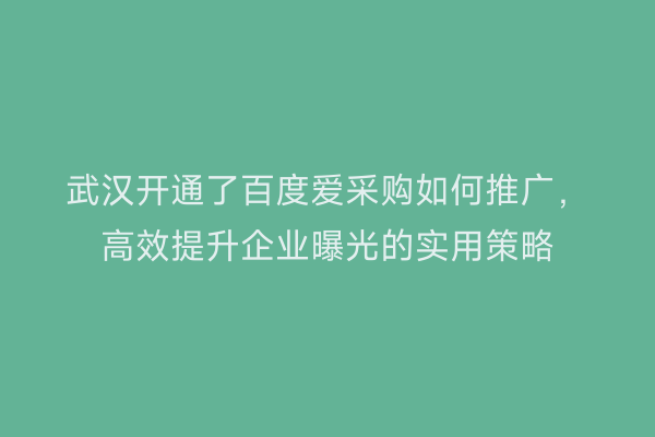 武汉开通了百度爱采购如何推广，高效提升企业曝光的实用策略