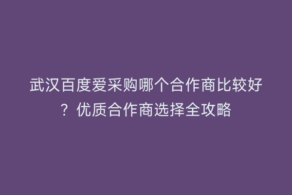 武汉百度爱采购哪个合作商比较好？优质合作商选择全攻略