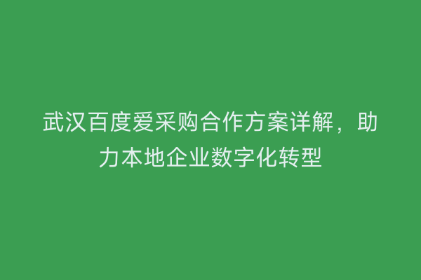 武汉百度爱采购合作方案详解，助力本地企业数字化转型