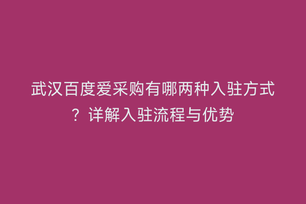 武汉百度爱采购有哪两种入驻方式？详解入驻流程与优势