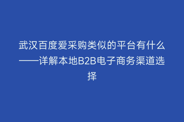 武汉百度爱采购类似的平台有什么——详解本地B2B电子商务渠道选择
