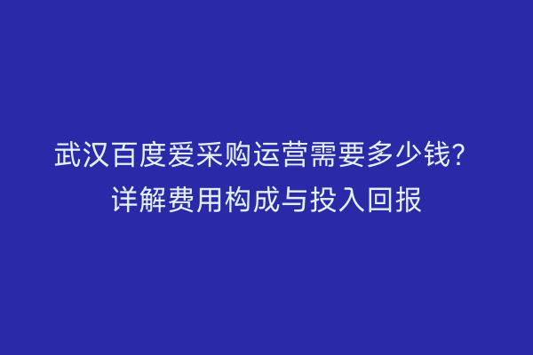 武汉百度爱采购运营需要多少钱？详解费用构成与投入回报