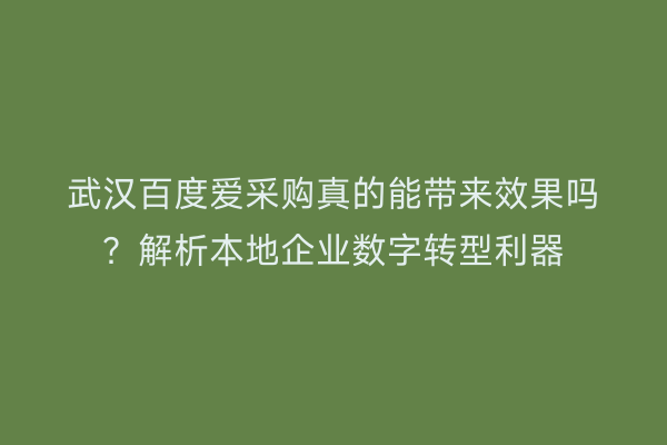 武汉百度爱采购真的能带来效果吗？解析本地企业数字转型利器