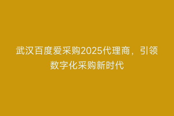 武汉百度爱采购2025代理商，引领数字化采购新时代