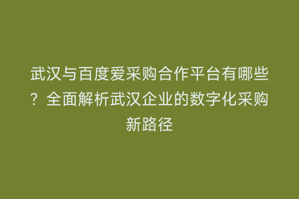 武汉与百度爱采购合作平台有哪些？全面解析武汉企业的数字化采购新路径