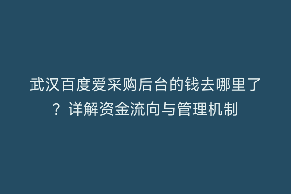 武汉百度爱采购后台的钱去哪里了？详解资金流向与管理机制