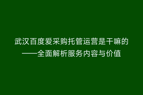 武汉百度爱采购托管运营是干嘛的——全面解析服务内容与价值