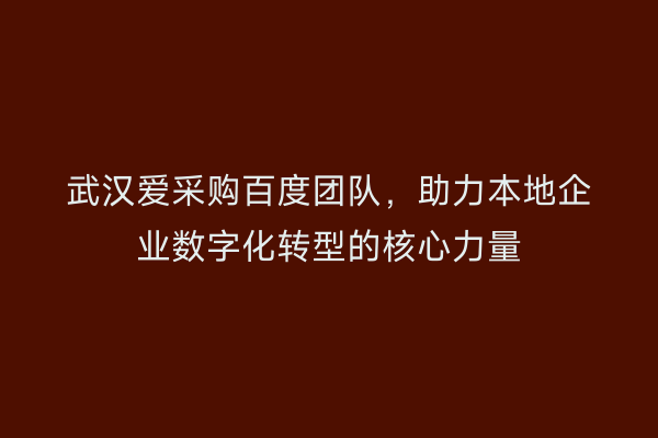 武汉爱采购百度团队，助力本地企业数字化转型的核心力量