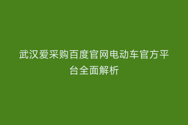 武汉爱采购百度官网电动车官方平台全面解析