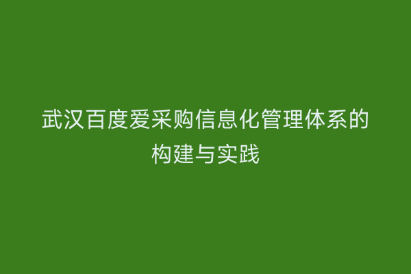 武汉百度爱采购信息化管理体系的构建与实践