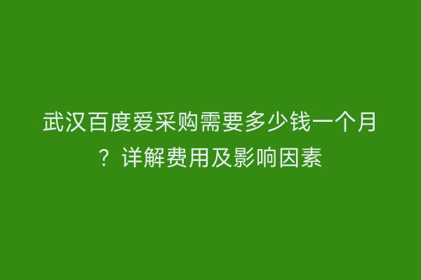 武汉百度爱采购需要多少钱一个月？详解费用及影响因素