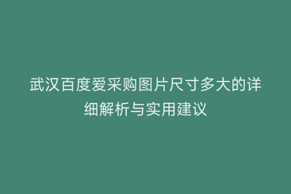 武汉百度爱采购图片尺寸多大的详细解析与实用建议