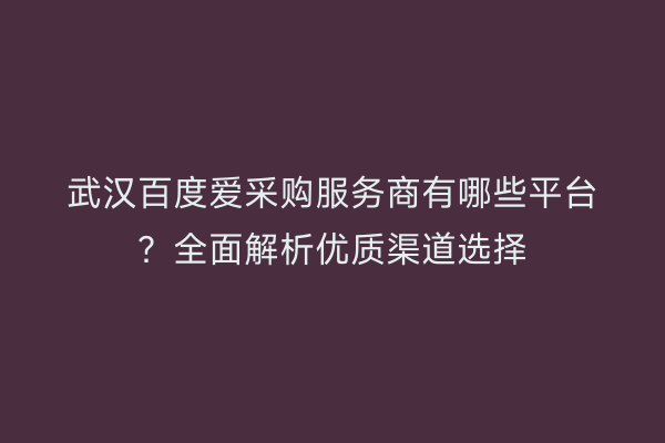 武汉百度爱采购服务商有哪些平台？全面解析优质渠道选择